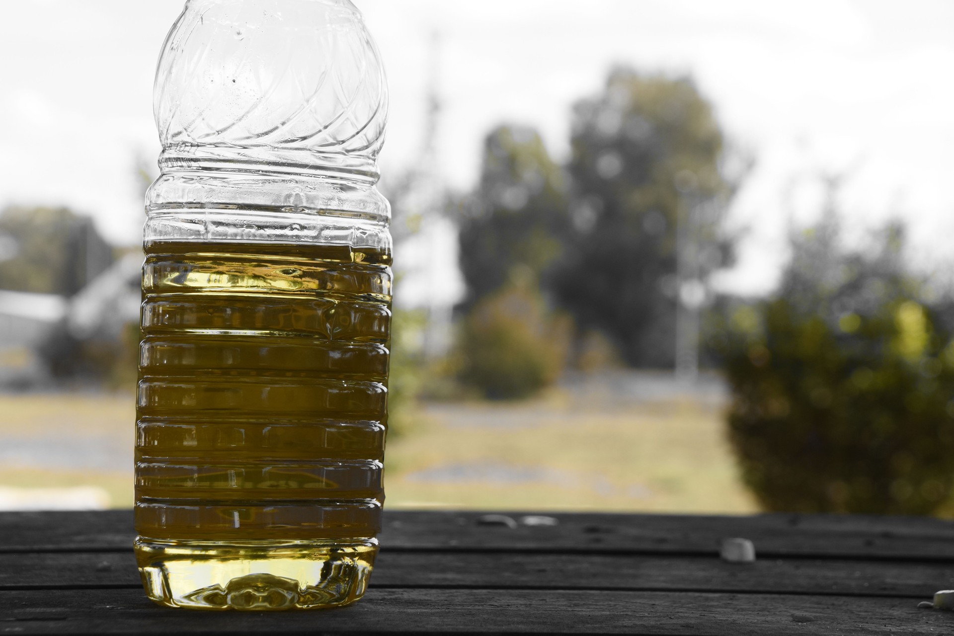bottle of yellow cooking oil