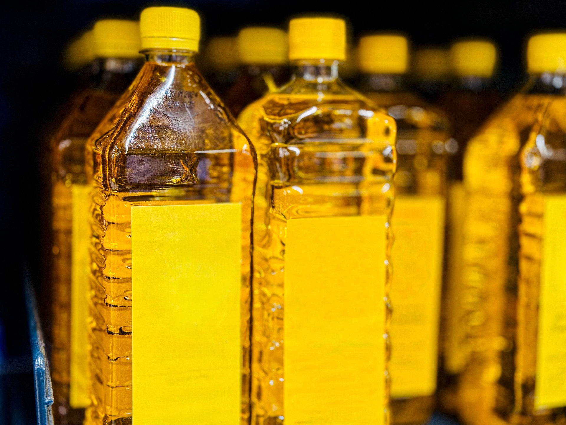 Cold Pressed Sunflower Seed Oil Bottles